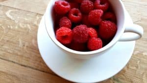 Why Campus Food Innovation Labs Matter Today