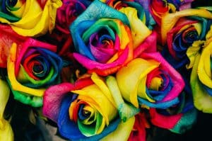 The Psychology of Color: What Your Wardrobe Reveals