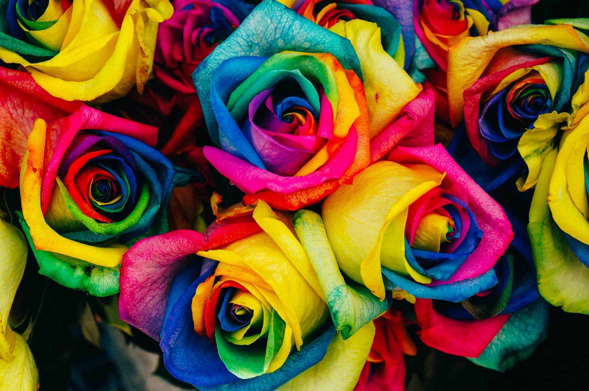The Psychology of Color: What Your Wardrobe Reveals