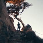 Streetwear Exploring Identities Through Cultural Dialogues