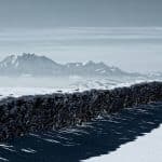 Forensic Genealogy: Solving Cold Cases with DNA Databases