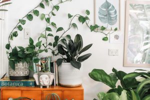 Top Reasons to Invest in Home Automation