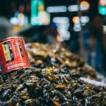 Adoption Rights for AI: Can Algorithms Be Legal Guardians?