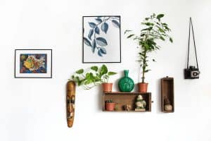 Smart Home Tech That Lowers Insurance Premiums (and Invades Privacy)
