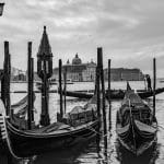 Exploring the Complex Ecosystem of Transportation Innovation