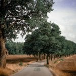 The Quantum Traveler's Manifesto: Redefining Experiential Journey Paradigms