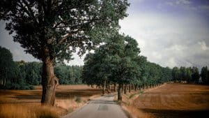 The Quantum Traveler's Manifesto: Redefining Experiential Journey Paradigms