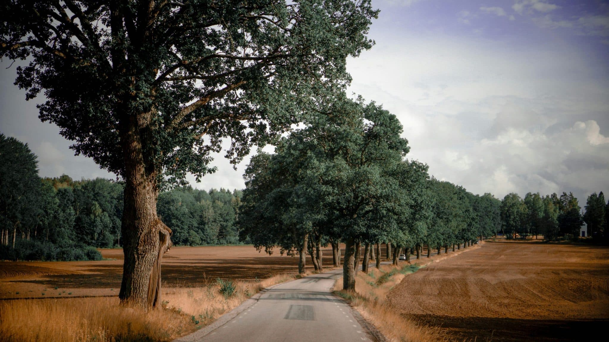 The Quantum Traveler's Manifesto: Redefining Experiential Journey Paradigms