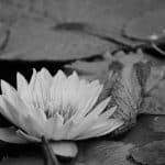 Salary Transparency Laws: What Employers *Still* Aren’t Disclosing