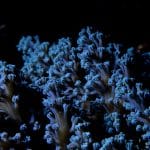 Climate-Proof Careers: Industries Thriving Amid Environmental Crisis