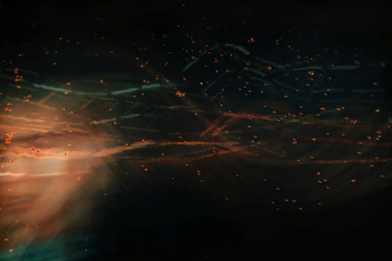 Textiles Blending Traditions with Bold Imagination