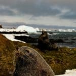 Climate-Conscious Dressing: What “Climatcore” Really Means