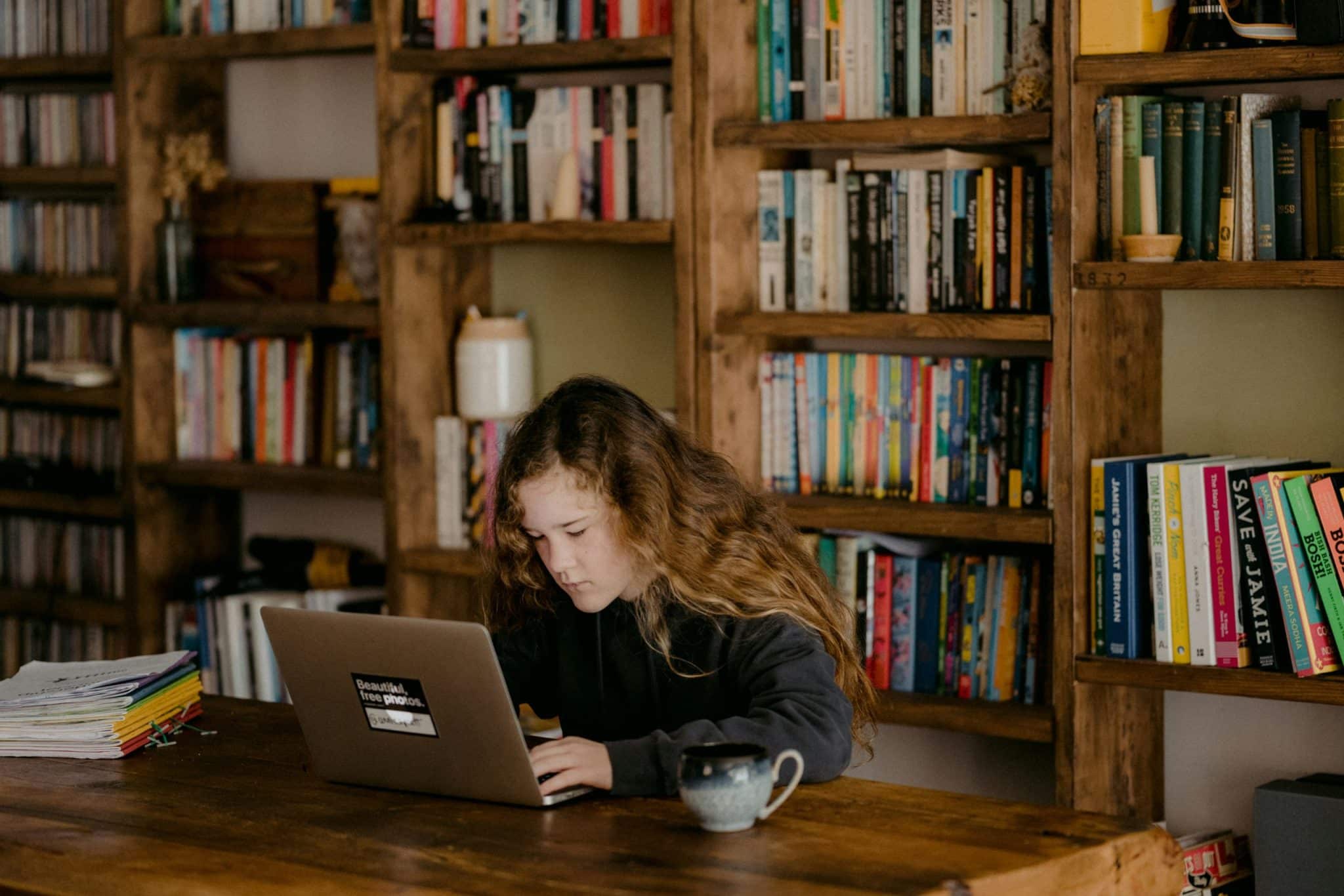 Understanding the Role of Digital Citizenship Education