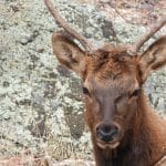 Co-Living 2.0: Luxury Shared Spaces Redefining Urban Housing