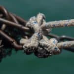 Expat Hotspots: Where Foreign Buyers Are Snatching U.S. Homes