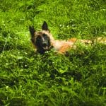 Virtual Try-Ons: Will AR Replace Fitting Rooms?