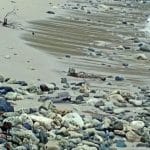 The Comprehensive Guide to Neurodivergent Global Exploration