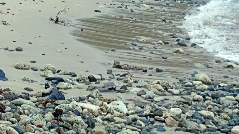 The Comprehensive Guide to Neurodivergent Global Exploration