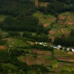 Real Estate Quantum Resonance: Amplifying Human Potential Through Spatial Intelligence