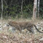 Ghost Jobs Exposed: Why Companies Post Roles They Never Fill