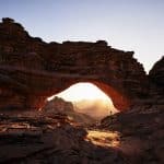 Navigating Complex Cultural Ecosystems: Intelligent Exploration Protocols