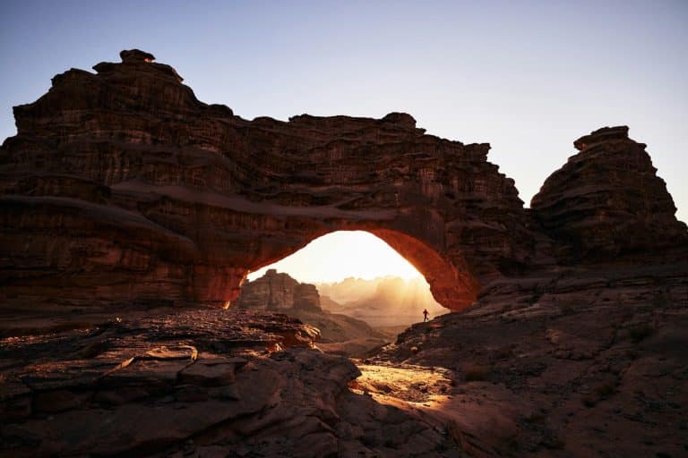 Navigating Complex Cultural Ecosystems: Intelligent Exploration Protocols
