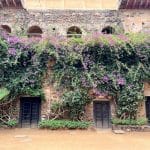 The Ultimate Traveler's Guide to Psychological Resilience and Global Adaptation
