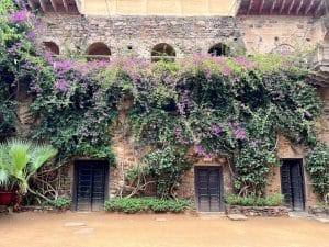 The Ultimate Traveler's Guide to Psychological Resilience and Global Adaptation