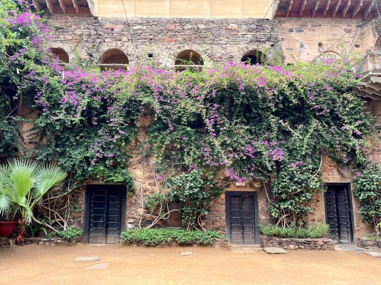 The Ultimate Traveler's Guide to Psychological Resilience and Global Adaptation