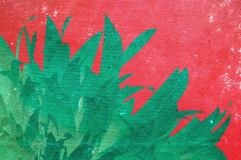 Conspiracy Theory Defenses: When Beliefs Impact Criminal Trials